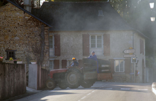 L'arrivée des châtaignes