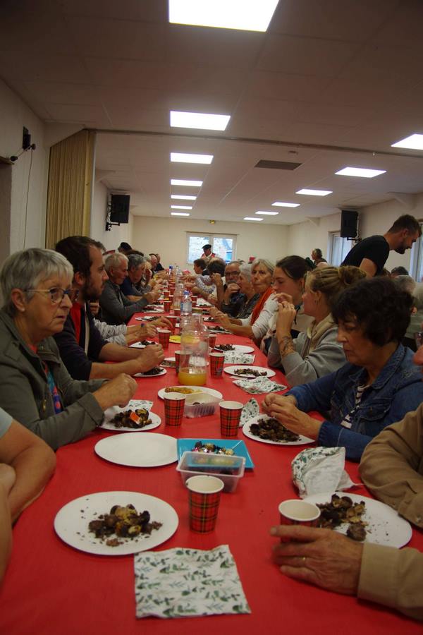 Castanhas e borret 2023 - 6